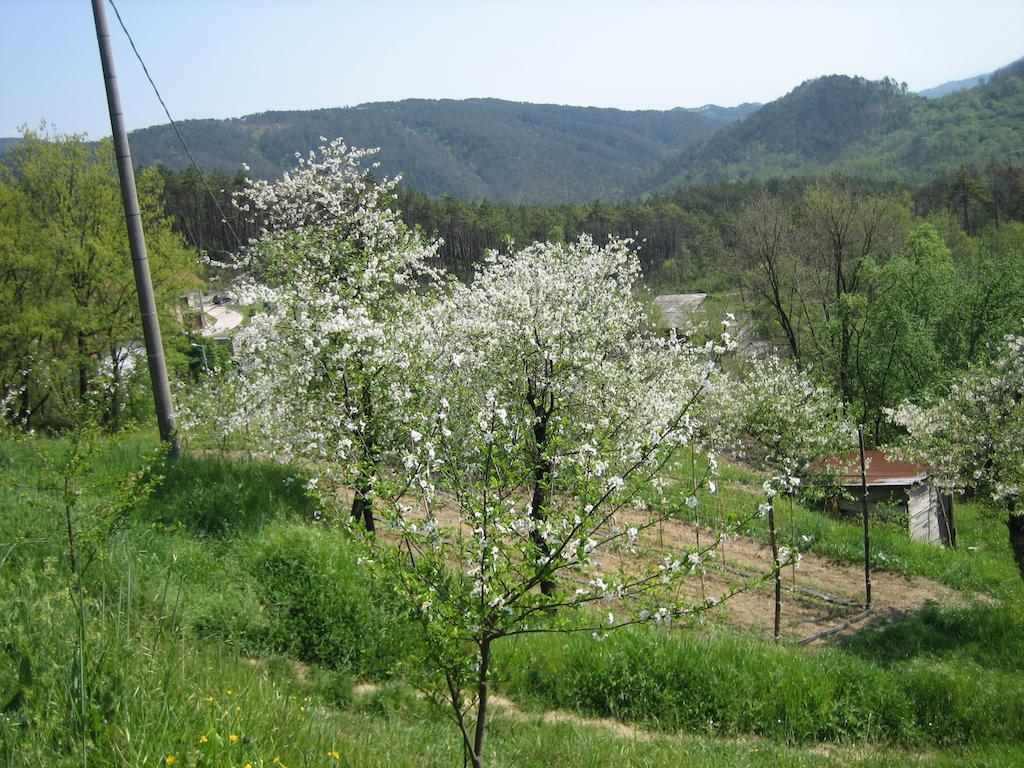 Agriturismo Casalino Beverino Extérieur photo